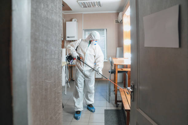 Best Forensic Mold Investigation  in Brooklyn, IA