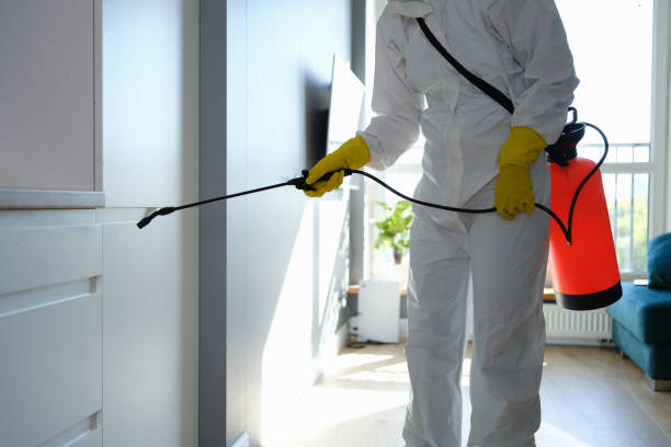Best Comprehensive Air Testing for Mold Contaminants  in Brooklyn, IA