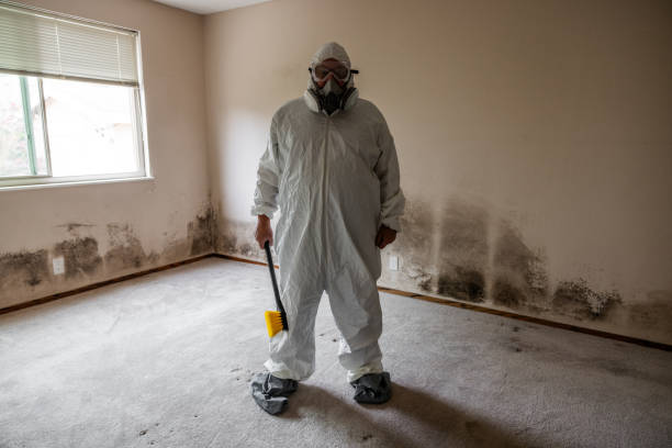 Best Residential Mold Inspection & Testing  in Brooklyn, IA
